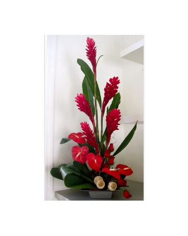 Tropical Sensation