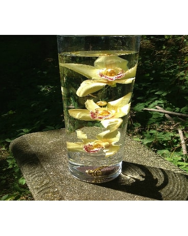 Cymbidium in Glass