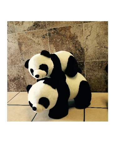 Panda in Woodland Hills CA - Abbey's Flower Garden Panda in Woodland Hills CA - Abbey's Flower Garden