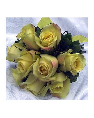 Roses-Spring Green