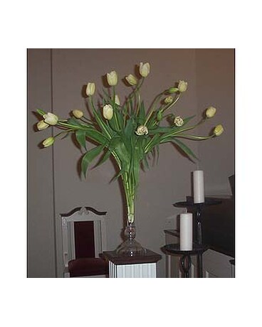 French Tulips