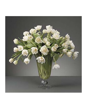 Double Dutch Tulip Arrangement