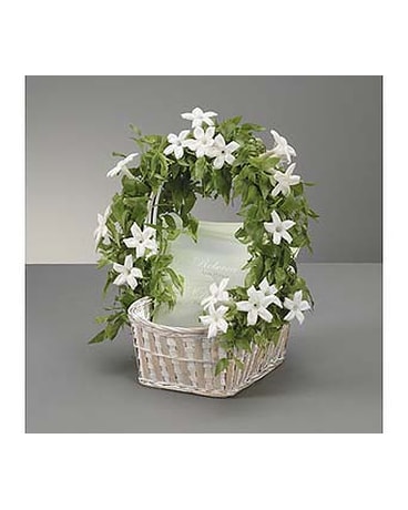 Stephanotis Basket