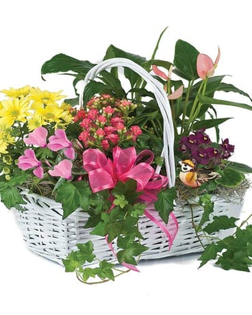 Blooming Garden Basket by Hoogasian Flowers