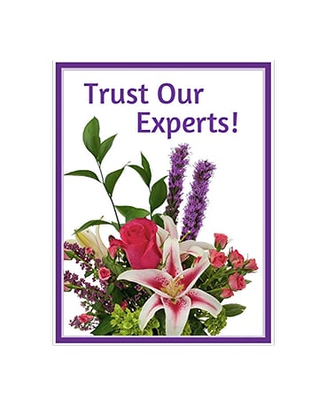 Trust Our Experts