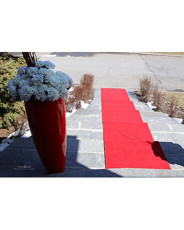 Mariage Maison