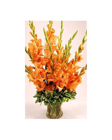 Ten-Orange-Stems-of-Gladiolas