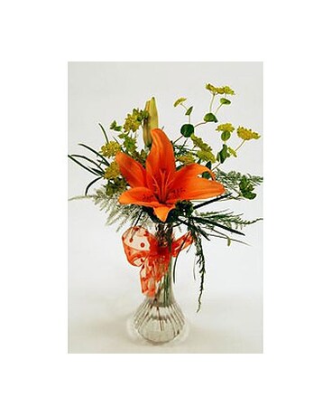 Single-Stem-Orange-Lily