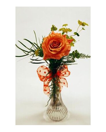Single-Stem-Orange-Rose