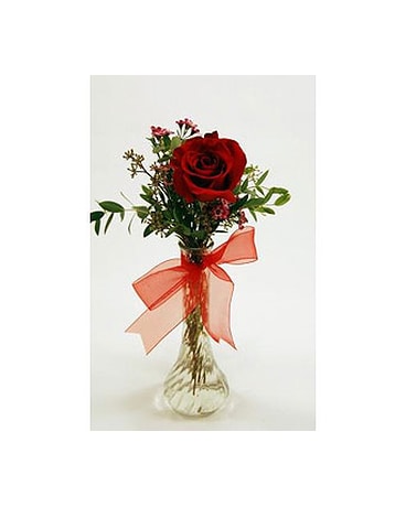 Single-Stem-Red-Rose