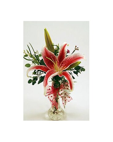 Single-Stem-Stargazer-Lily