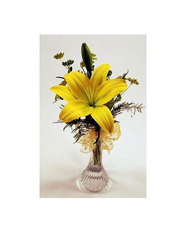 Single-Stem-Yellow-Lily