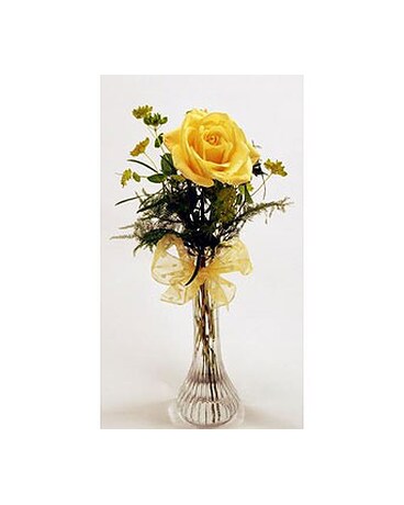 Single-Stem-Yellow-Rose