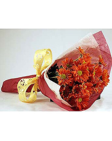Wrap-of-Orange-Daises