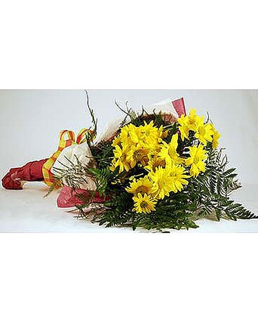 Yellow-Daises-Wrap