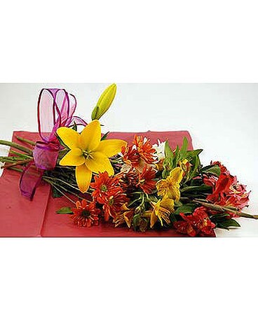 Designers-Choice-Wrap
