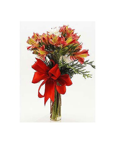 Flowers Depot  Red-and-White-Halo