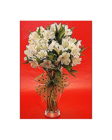 Flowers Depot  Marilyn-Monroe- Vase