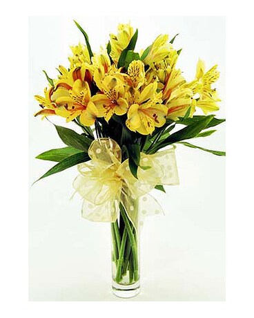 Yellow-Alstroemeria-in-Clear-Glass-Bud-Vase