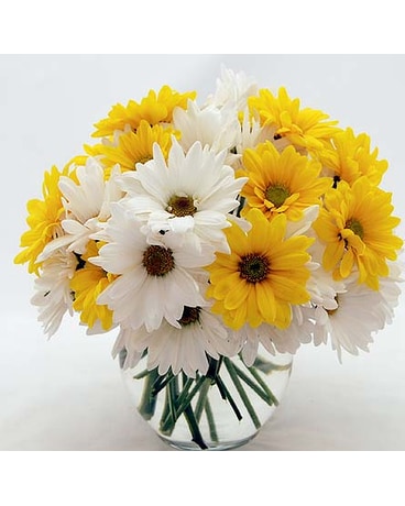 Flowers Depot Yellow-and-White-Daisies