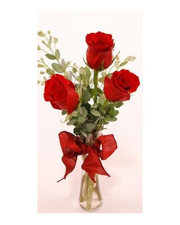 Get-Shorty-Red-Three
