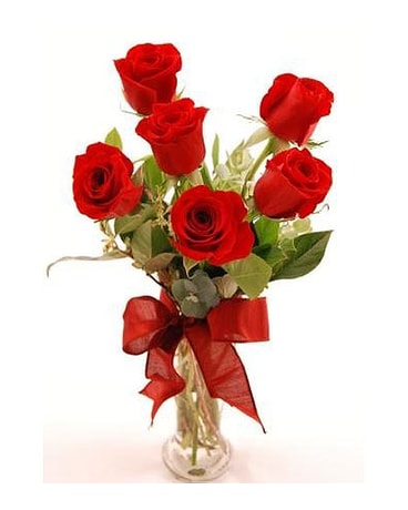 Get-Shorty-Red-Six