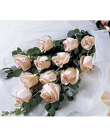 Beach City Florist  12 long stem Peach Roses Wrap