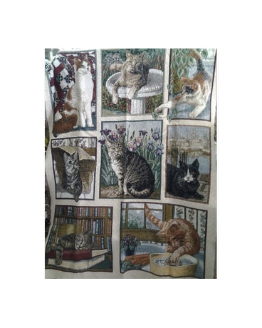 Kitty Corner