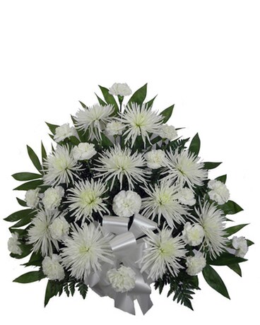 Simple Devotion Carnation/Fuji