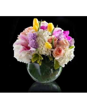 Classic Designer Choice Floral