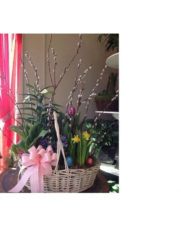 Spring Bulb Garden