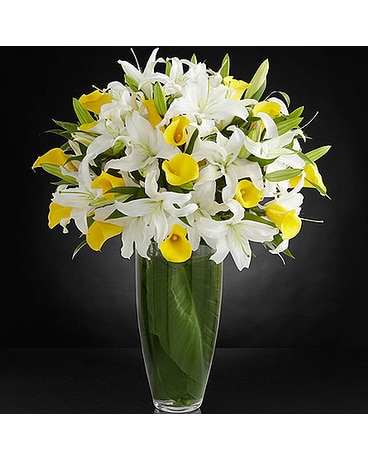Vivacious Luxury Lily