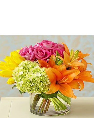 1-800-FLOWERS® SWEET BABY GIRL™ ARRANGEMENT