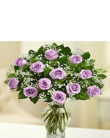 12 Premium Long Stem Purple Roses