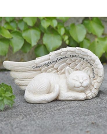 Sleeping Cat in Wing