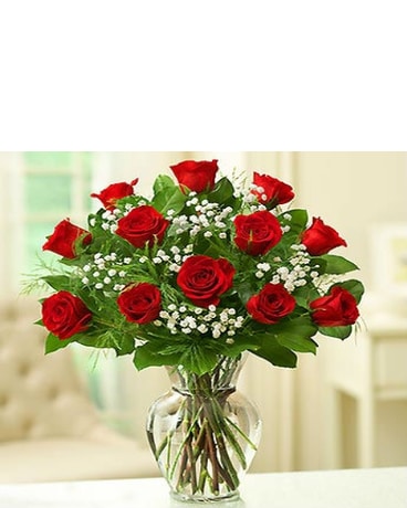 1 DOZEN RED ROSES W/BABY'S BREATH