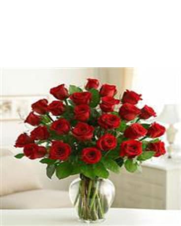 2 Dozen Red Roses