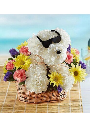 Cool Pup by 1-800flowers