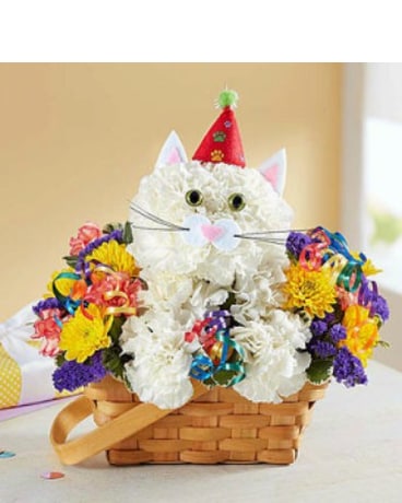 Purrfect Party Cat by 1800flowers