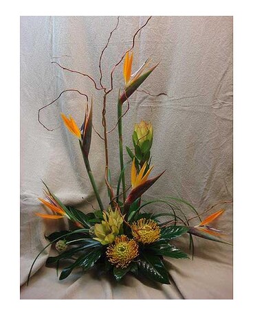 Exotic Artistry