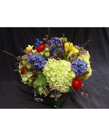 Garden Delight