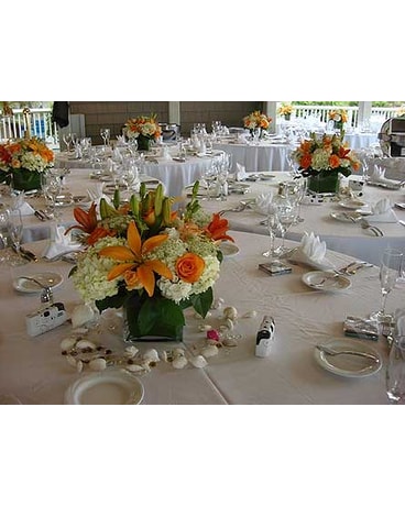 Wedding