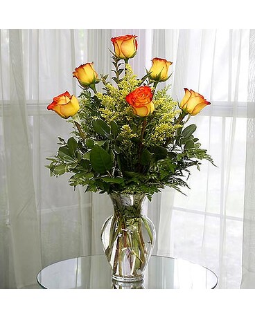 1 Half Dozen Circus Roses