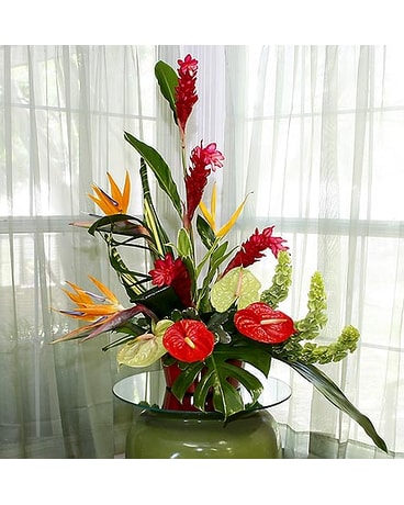 Tropicals