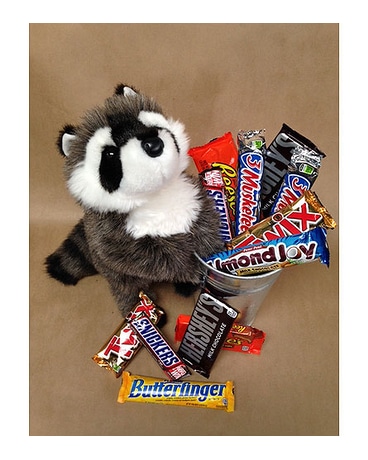 Bandit and the loot