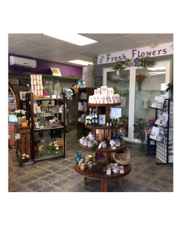 Store 15