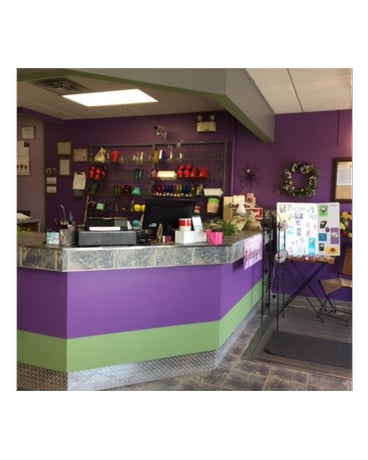 Store 17
