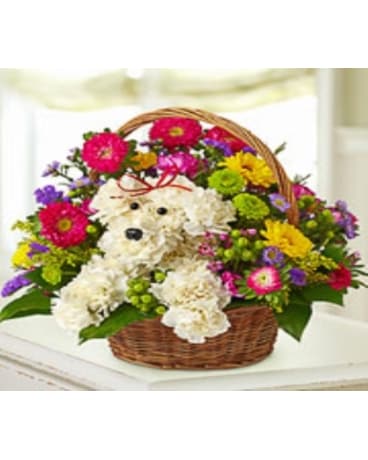 dog-able in basket