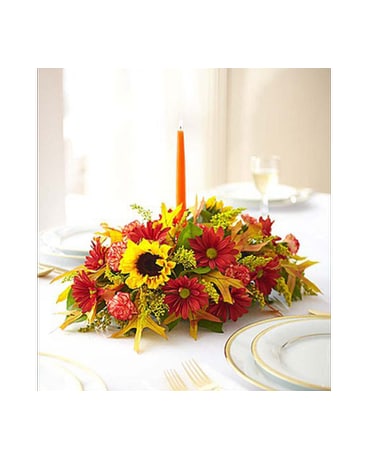 FIELDS OF EUROPE FOR FALL CENTERPIECE