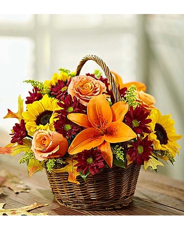 FIELDS OF EUROPE FALL BASKET